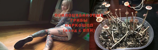 Альфа ПВП Армянск