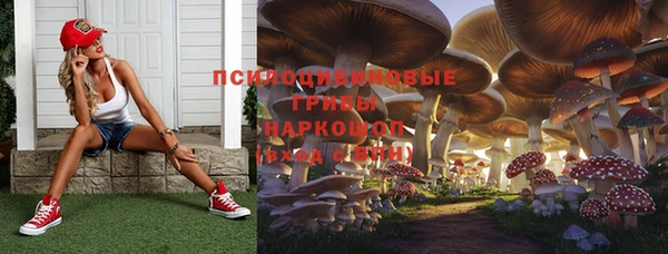 apvp Аркадак