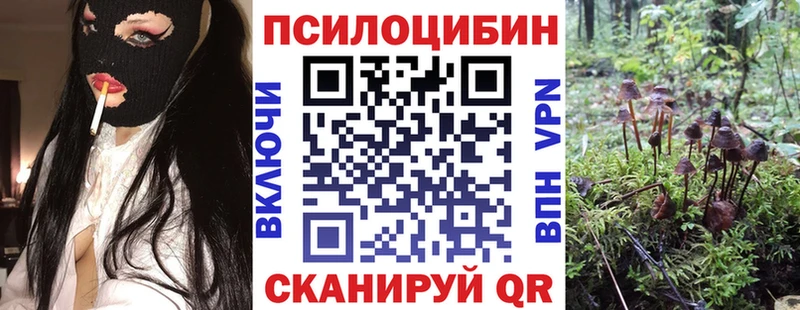 где можно купить наркотик  Семёнов  Галлюциногенные грибы Magic Shrooms 